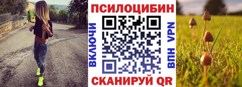 omg маркетплейс  Верхняя Тура  Галлюциногенные грибы Psilocybine cubensis  дарнет шоп 